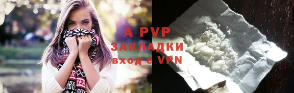 apvp Верея