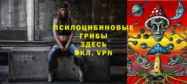 герыч Верхний Тагил